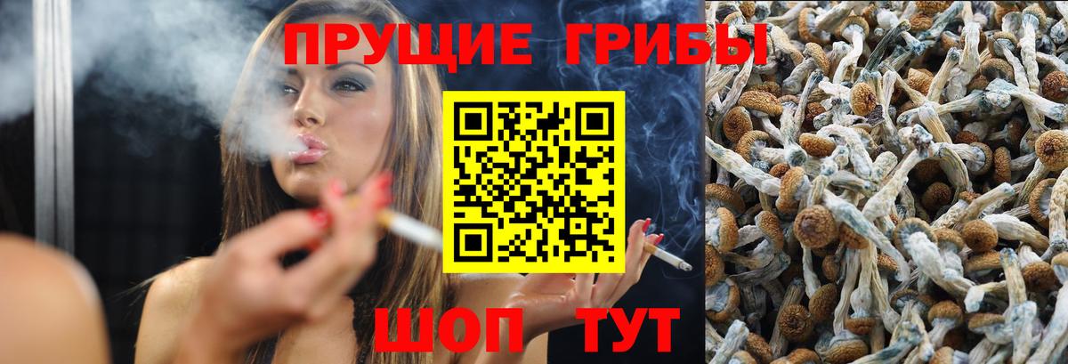 Ржев  Галлюциногенные грибы мухоморы  Вход с VPN  Псилоцибиновые грибы Psilocybine cubensis 