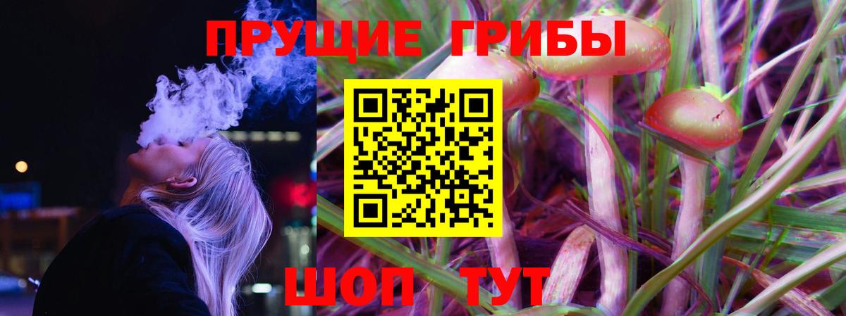 Псилоцибиновые грибы Psilocybe Ржев
